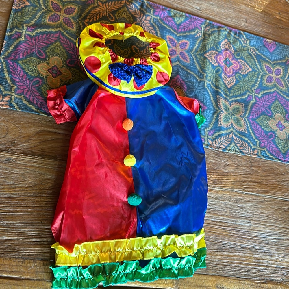 Dog clown costume, perfect, used once condition, Large, Velcro closure at chest